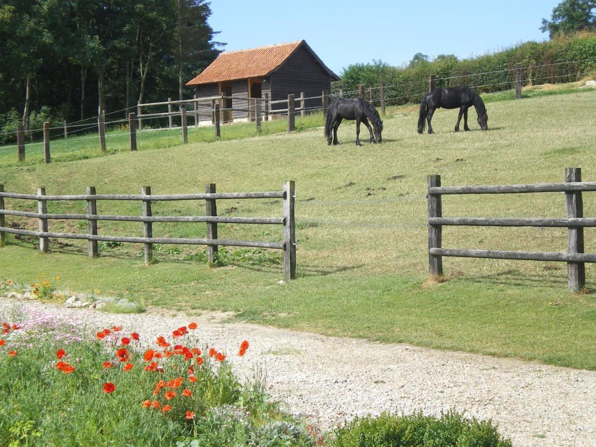 Ferme Des Tilleuls Bezinghem Luaran gambar